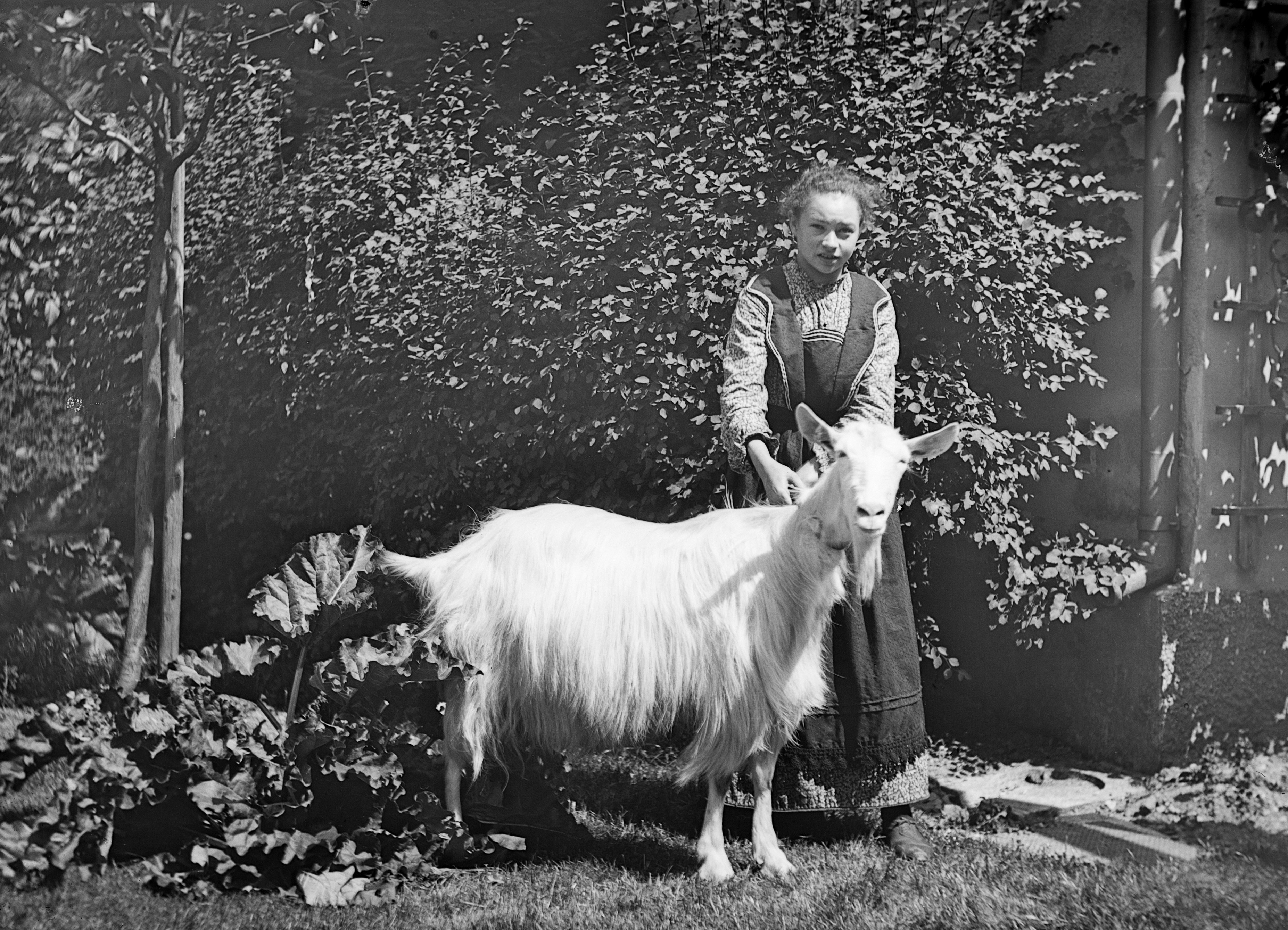 Mädchen mit Ziege