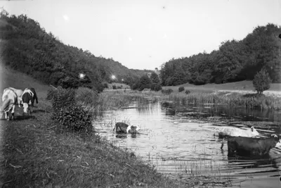 Badetag im Tal