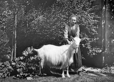 Mädchen mit Ziege